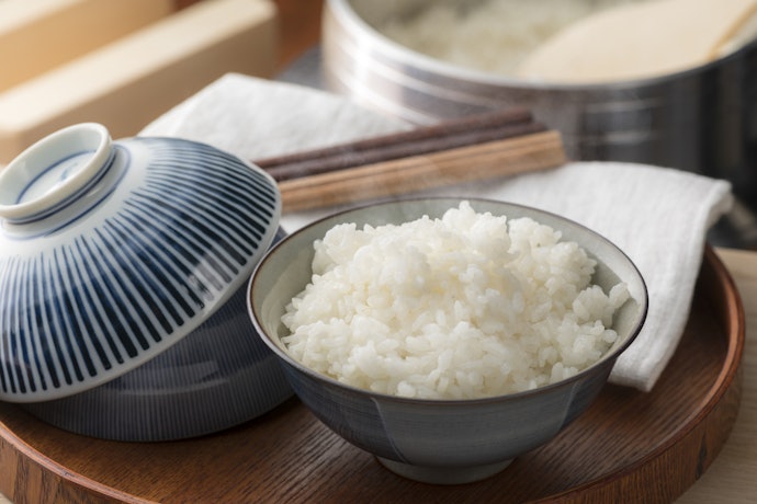 ガス炊飯器の魅力とは?デメリットはある?