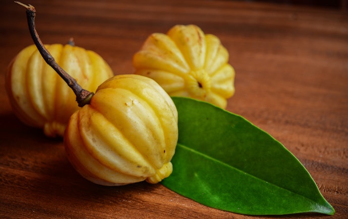 ガルシニアとは?どんな効果が期待できる?
