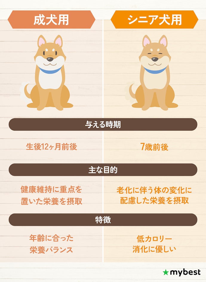 シニア犬は何歳から?フードにはどんな特徴があるの?