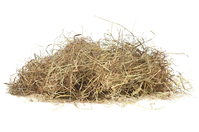 うさぎの牧草にはどんな種類がある?