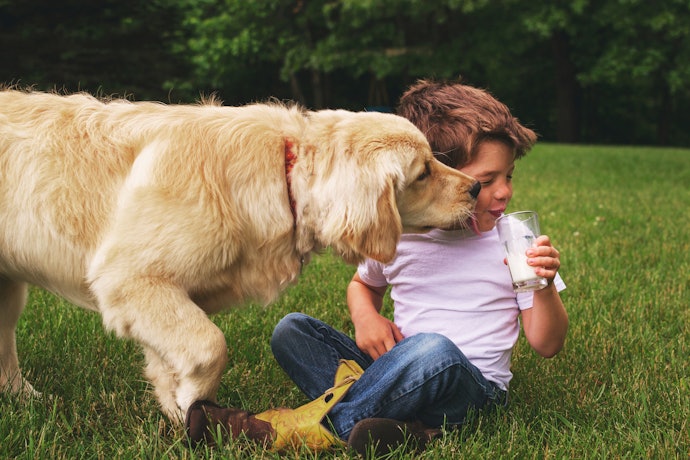 犬用ミルクは、人間用の牛乳で代用できる?