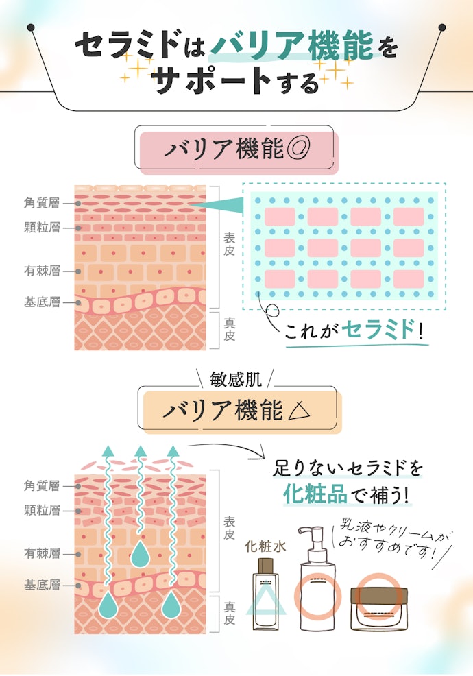セラミドって一体なに?どんな働きをするの?