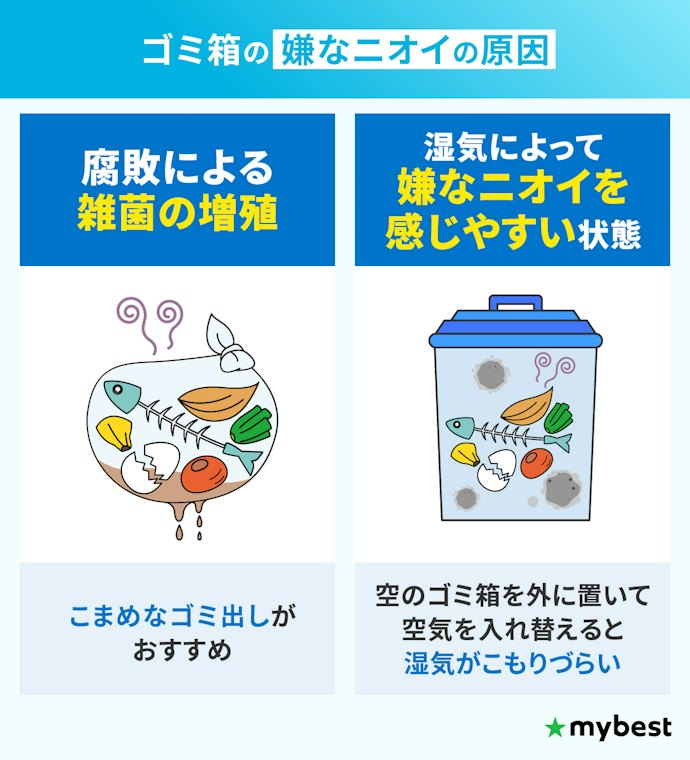 ゴミ箱の嫌なニオイはなぜ発生する?