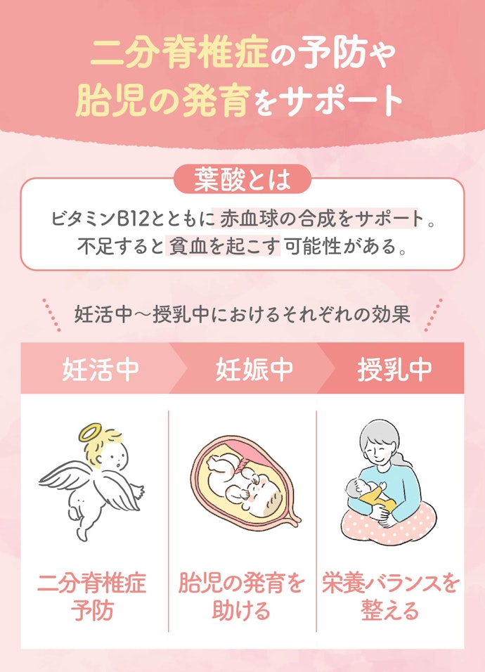 葉酸の効果とは?不足するとどうなるの?