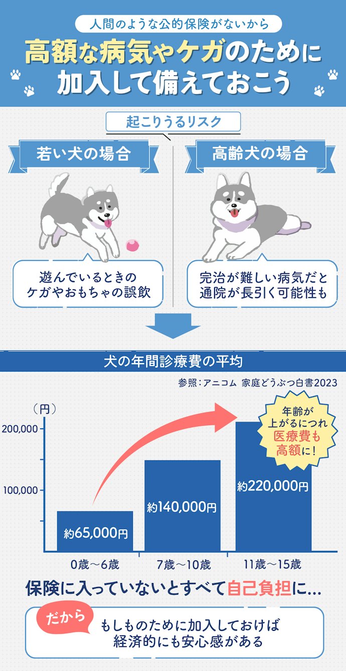 犬のペット保険は必要?加入したほうがいい?