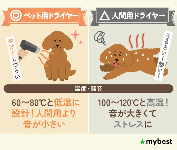 ペット用ドライヤーは本当に必要?人間用のドライヤーではだめ?