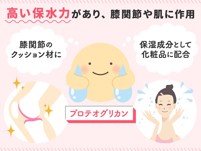 プロテオグリカンってなに?膝の痛みや美容に効果があるって本当?