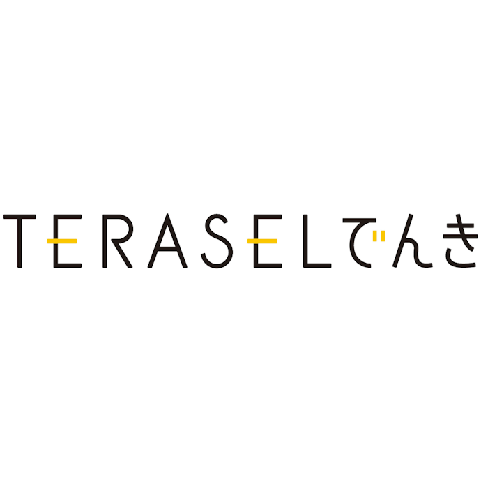 TERASELでんきとは?