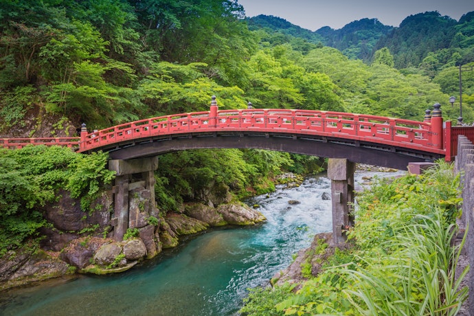 栃木のペットと泊まれる宿の魅力とは?