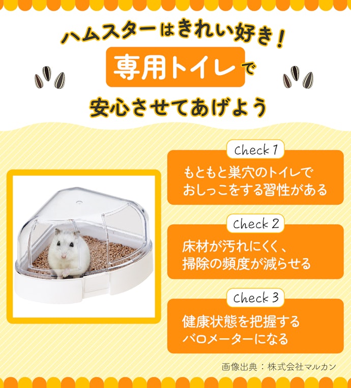 ハムスターにトイレは必要?