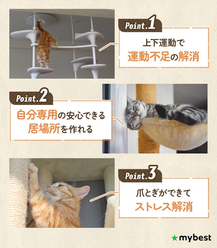 キャットタワーは猫にとって本当に必要?