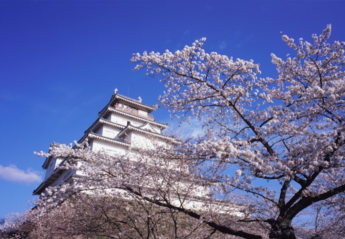 3つの地方それぞれの魅力を堪能!福島の高級旅館に泊まろう