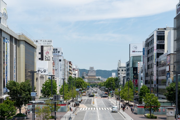 姫路でカーリースを利用するときに気をつけるべきポイントは?