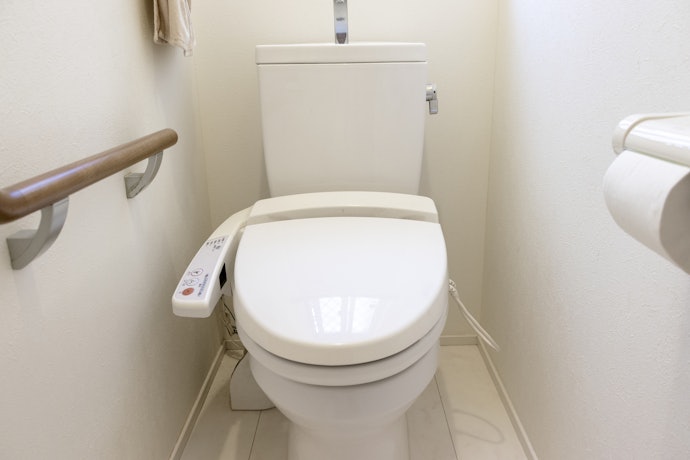トイレタンク洗浄剤が使えない場合もある。事前に自宅のトイレを要確認