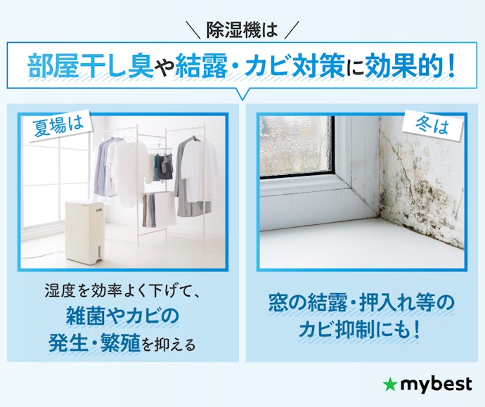 除湿機は必要?どんな効果がある?
