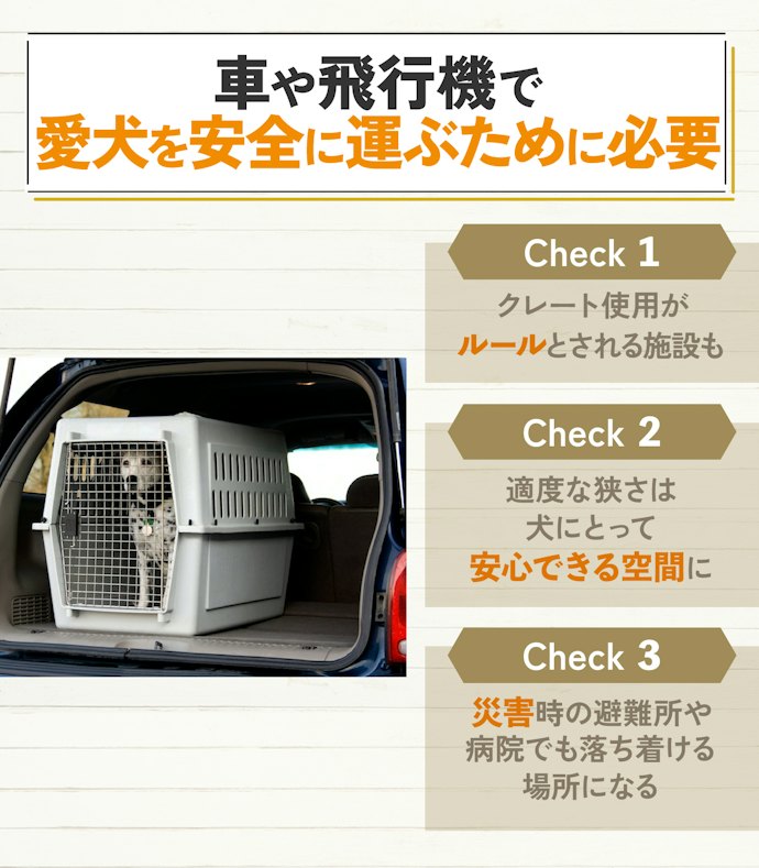 大型犬にもクレートは必要?用意しておくべき理由とは?