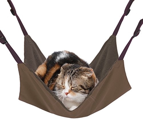 猫はなぜハンモックが好き?いつから使える?