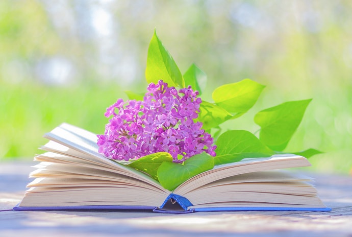 見るだけでも楽しい!花図鑑とは?