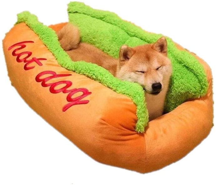 おもしろいデザインの犬用ベッドの魅力とは?