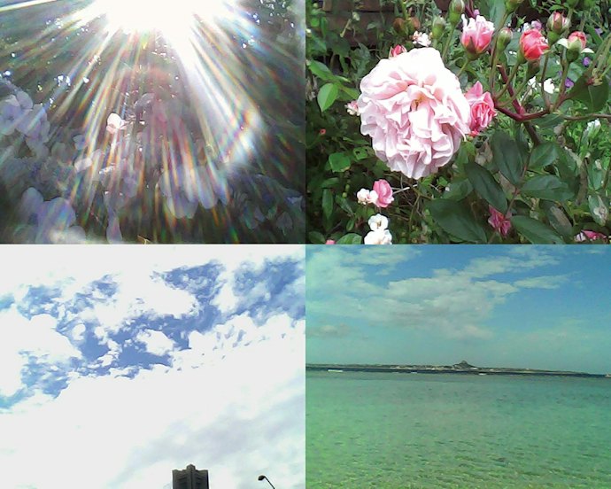 トイカメラとは?あえて粗く写る、遊び心のある低価格カメラ