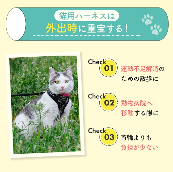 猫用ハーネスの必要性とは?