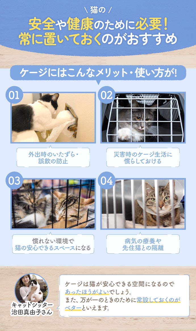 猫用ケージは必要?いつからいつまで使うべき?
