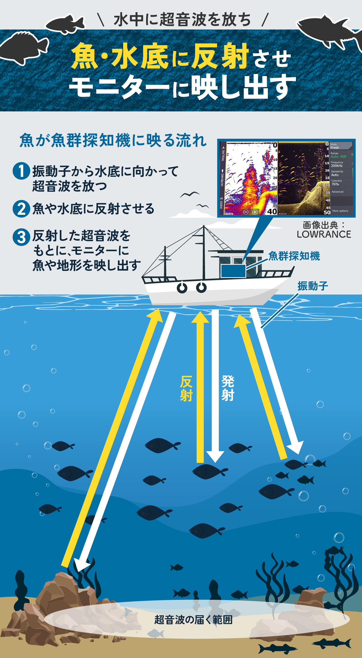 魚群探知機のおすすめ人気ランキング【2026年7月】 | マイベスト