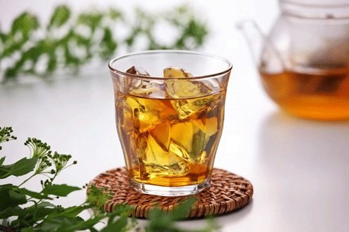 ハト麦茶と麦茶の違いは?
