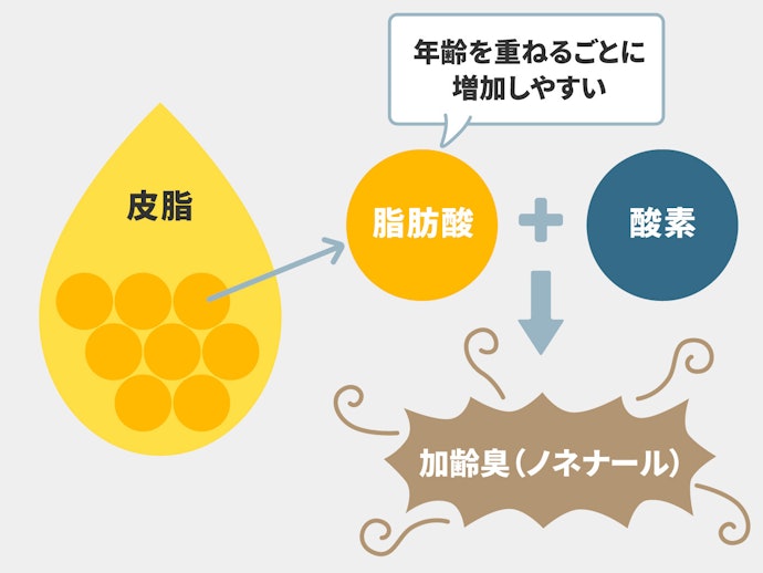 男性の加齢臭の対策はいつから?香水でカバーできる?