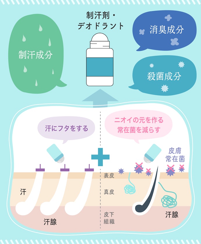 制汗剤・デオドラントの効果の違いは?