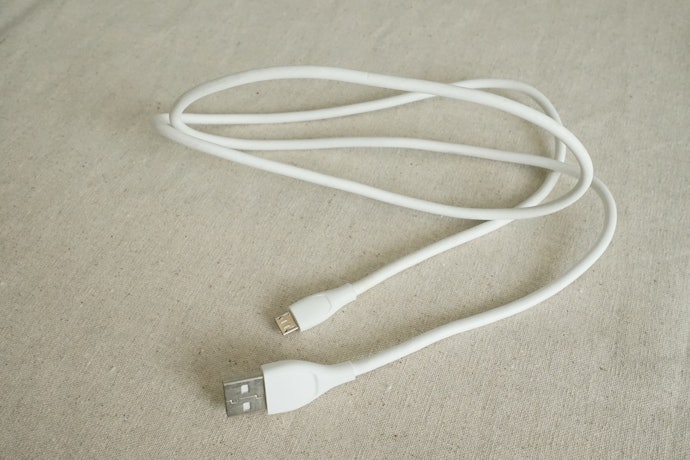 昔のデジカメの「独自規格」に注意。Mini USB Type-Bが刺さらないことも