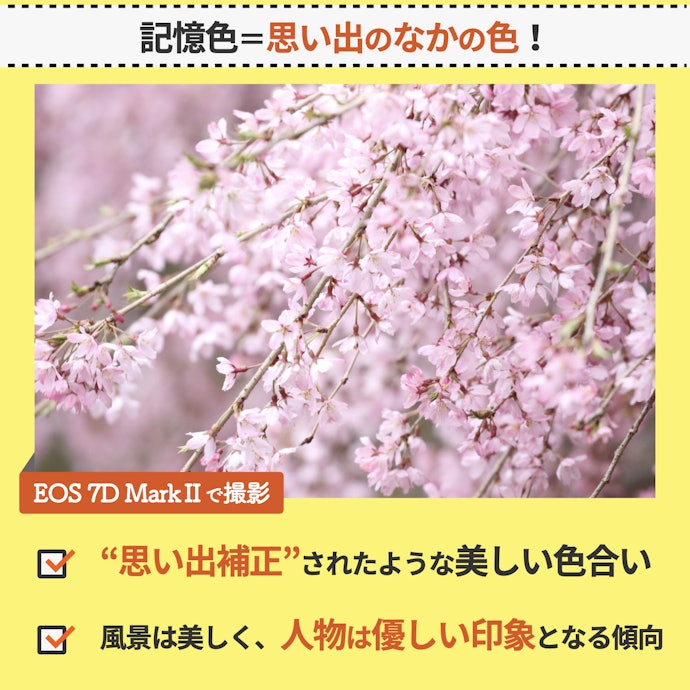 実物より鮮やかに撮れる!?キヤノンの発色の特徴とは?
