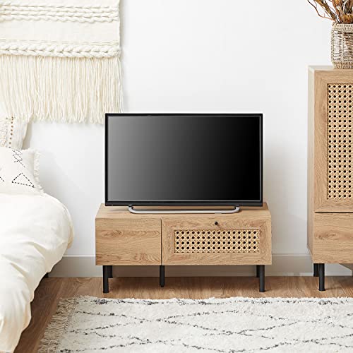 一人暮らし向けテレビ台のおすすめ人気ランキング【2026年4月】 | マイ 