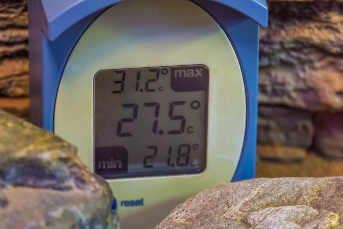 温度管理に便利!爬虫類用のサーモスタットとは?