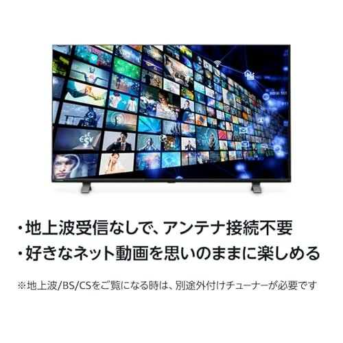 国内メーカーのチューナーレステレビの魅力は?