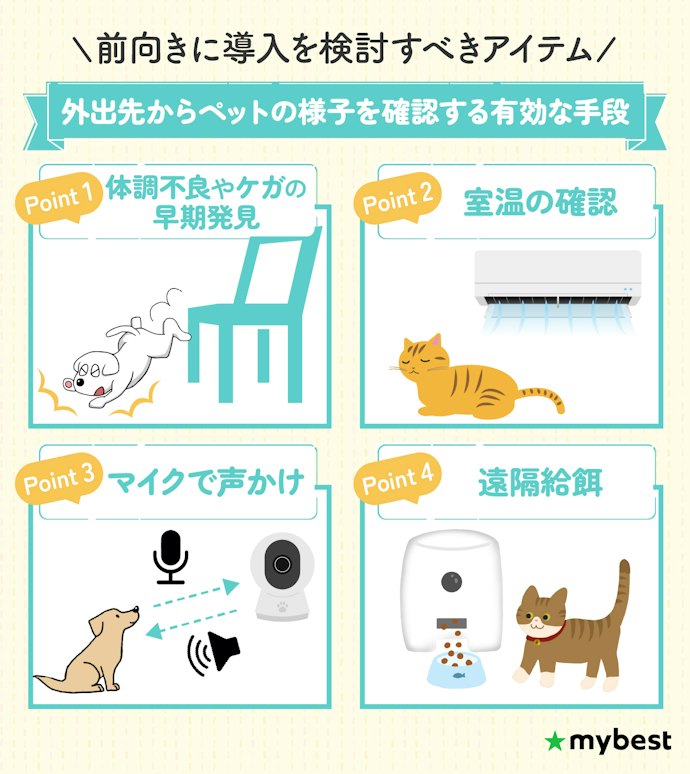ペットカメラって必要?メリットは?