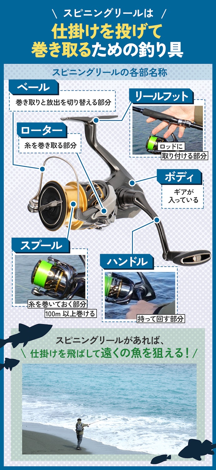 スピニングリールとは?
