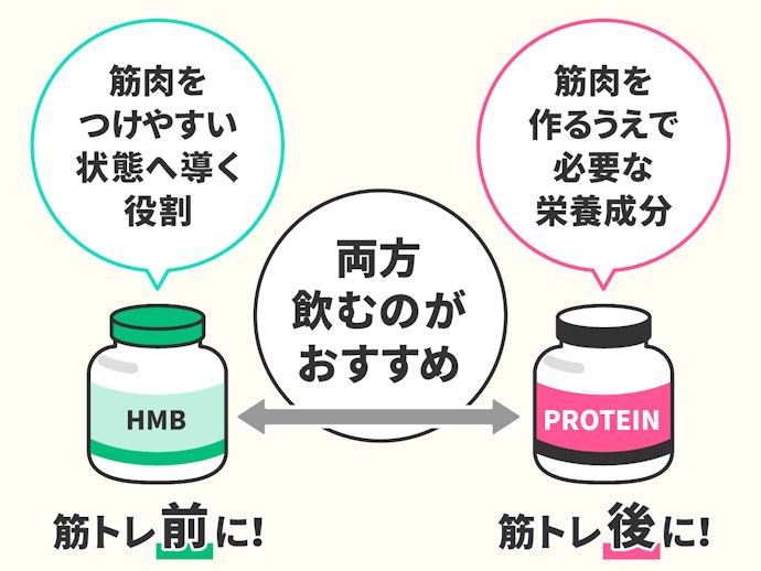 HMBとは?プロテインとはどう違うの?