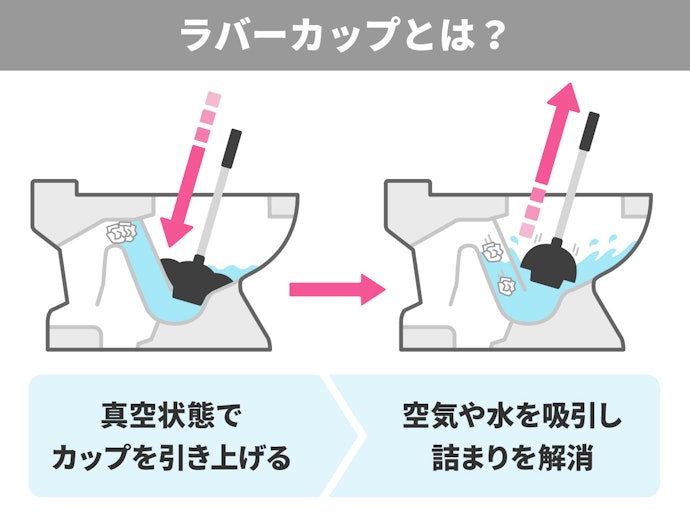 ラバーカップとは?