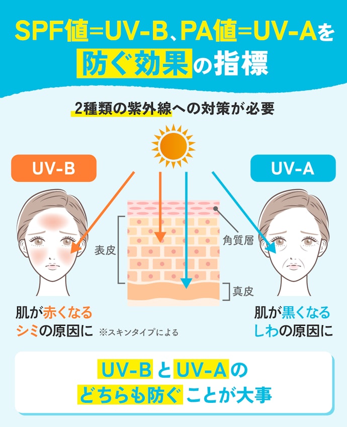 そもそもSPF値とPA値ってなに?