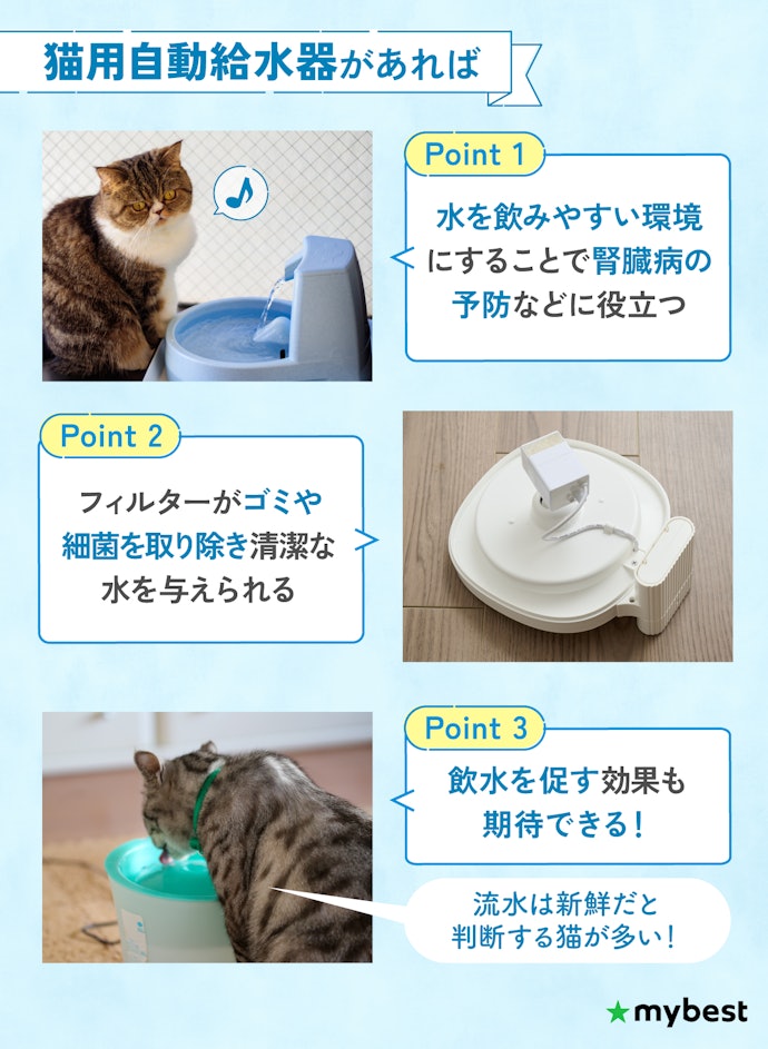 自動給水器は本当に必要?使うメリットは?