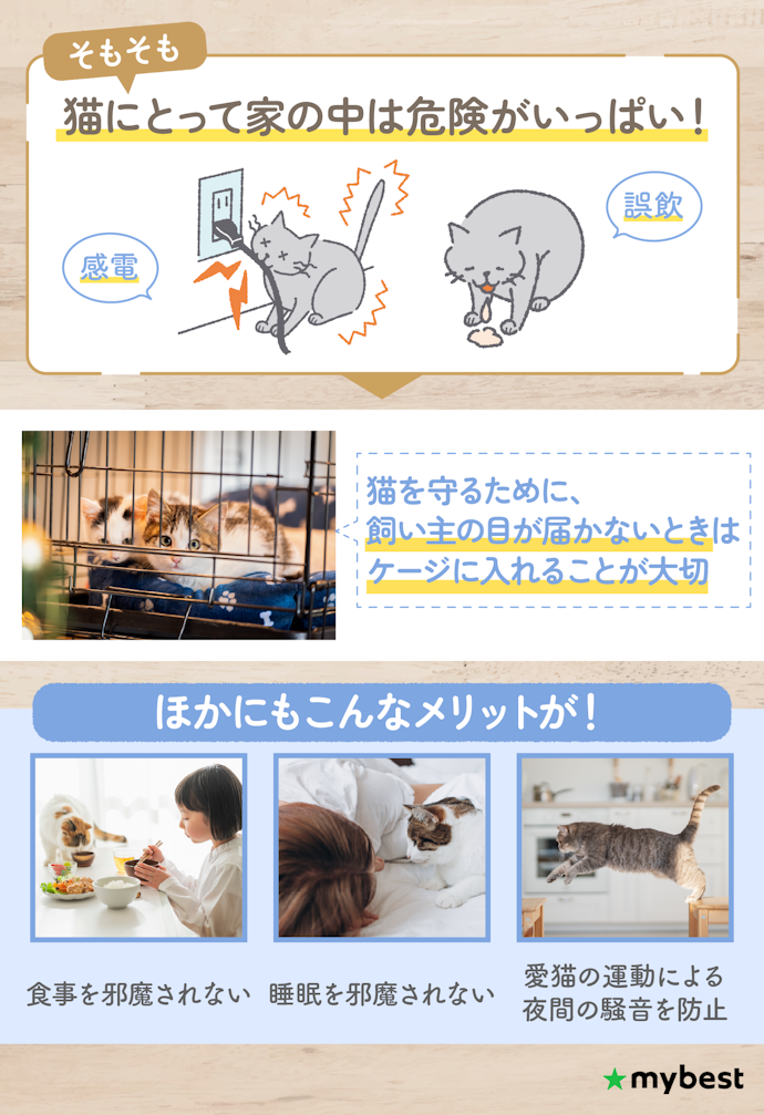 猫を迎えるなら猫用ケージも必要?どんなときに使える?