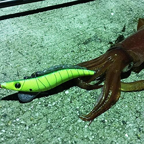 エギとは?どうやってイカを釣るの?