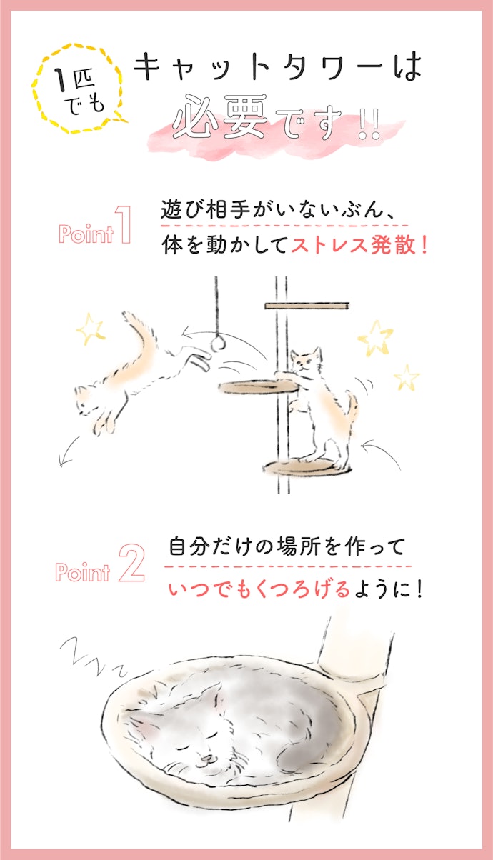 1匹でもキャットタワーは必要?
