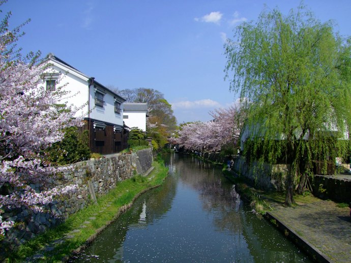 近江商人が栄えた水郷の町・近江八幡の魅力とは?
