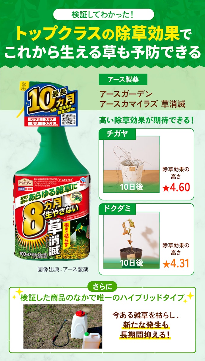 【結論】除草効果も持続性も優れた「アースカマイラズ 草消滅」がおすすめ