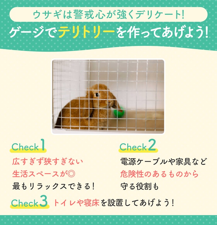 ウサギの安心・安全のために。ウサギ用ケージの必要性は?