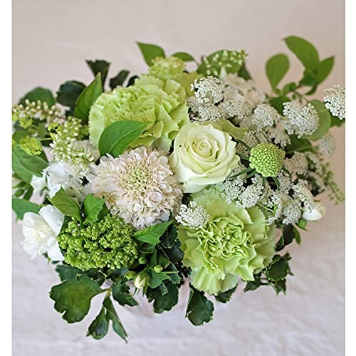 新築祝い向けの花ギフトの予算相場はどのくらい?