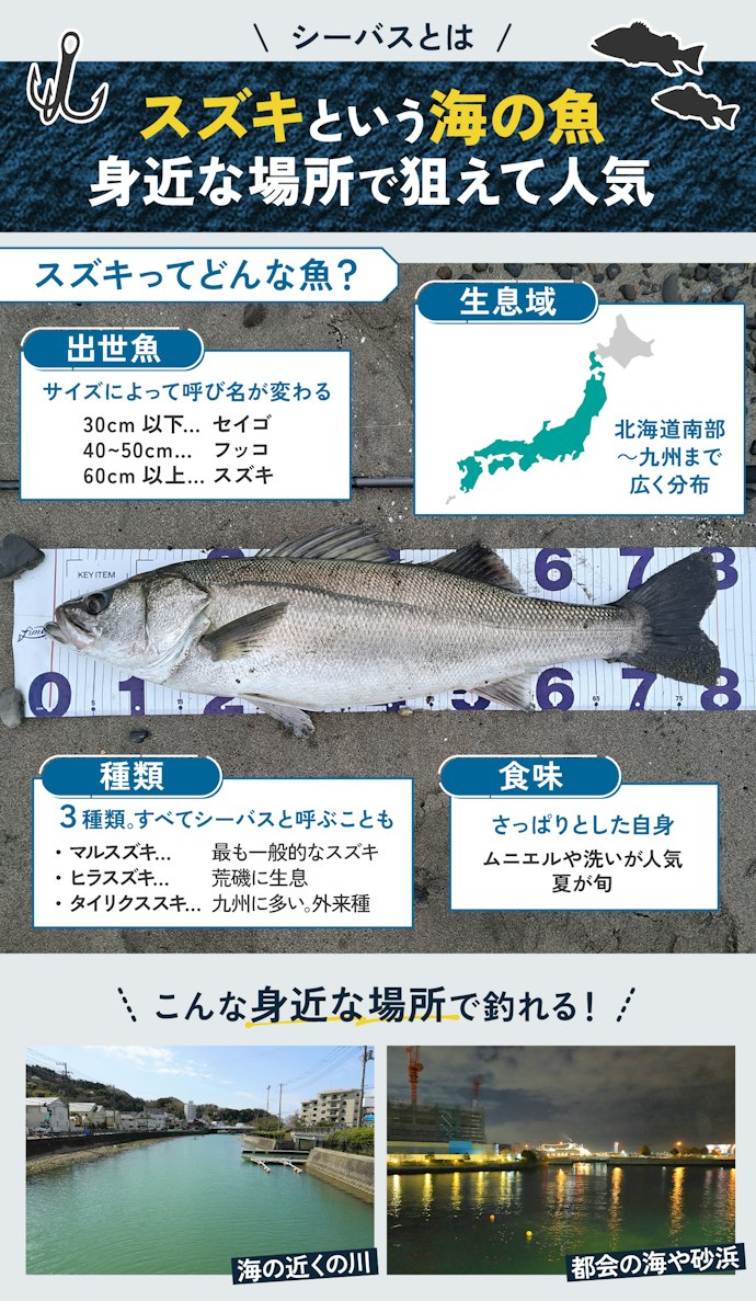 シーバスとは?スズキとは違うの?