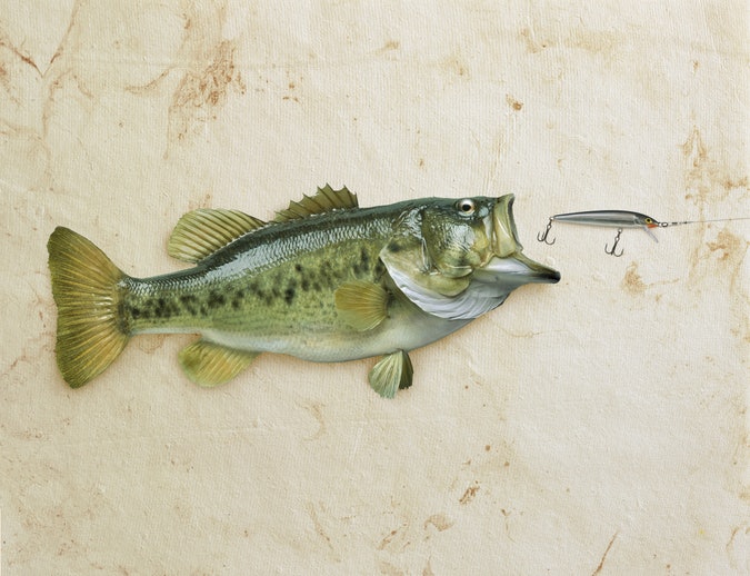 22年 バス釣り用スピニングロッドのおすすめ人気ランキング18選 Mybest 22年 バス釣り用スピニングロッドのおすすめ人気ランキング18選 Mybest